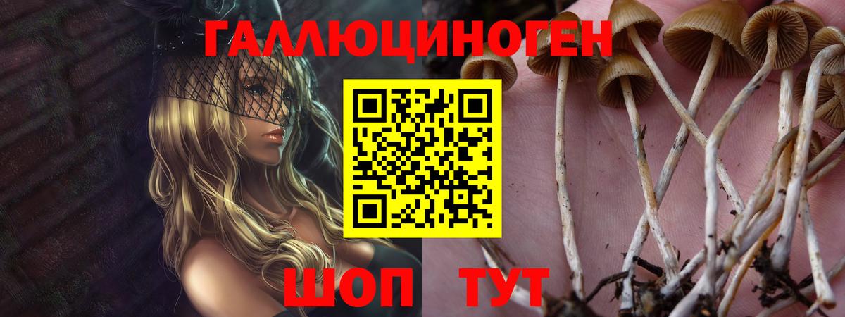Галлюциногенные грибы прущие грибы Салават